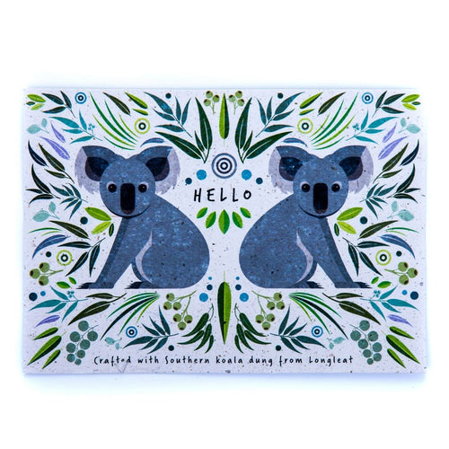 A6 Postcard  Koala Poo Paper Collection Longleat Shop