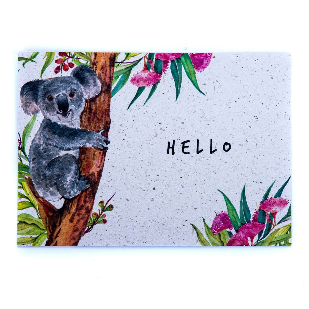Floral A6 Postcard Koala Poo Paper Collection Longleat shop